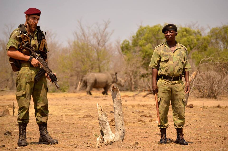 Two armed anti-poaching rangers in front of a rhino