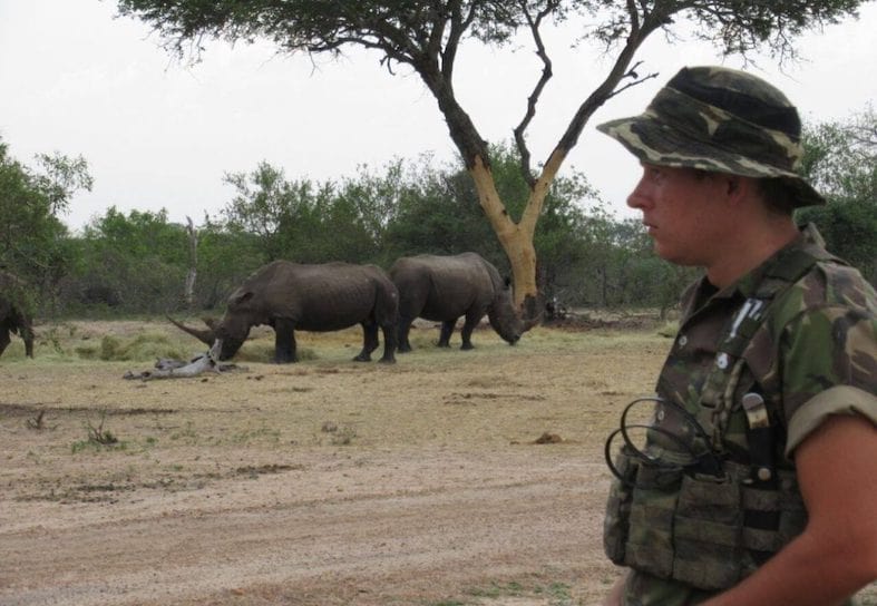 ranger with two rhinos in the background