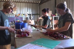 Volunteers preparing food for sanctuary animals