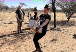 Volunteers moving rocks in Namibia