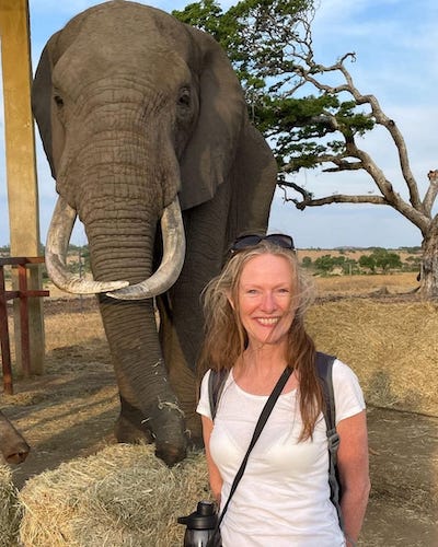 Mature volunteer woman with elephant