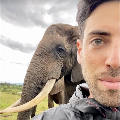 Volunteer with elephant in the background