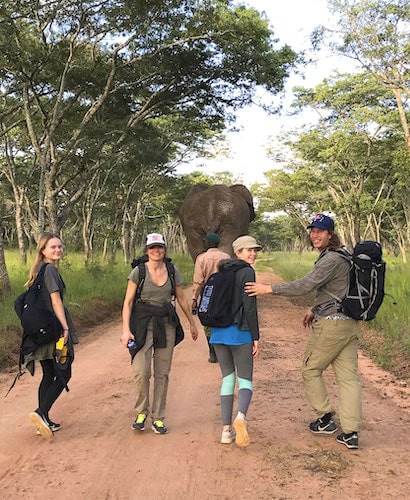 family of four walking behind an elephant