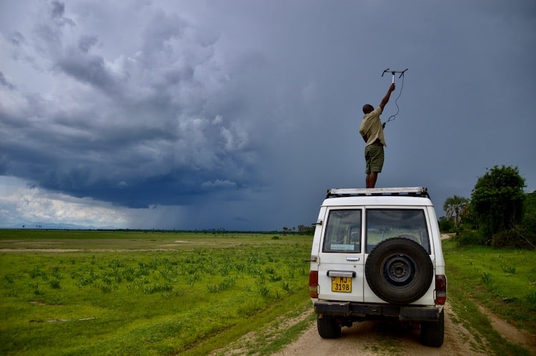 Tracking wildlife in Liwonde using telemetry