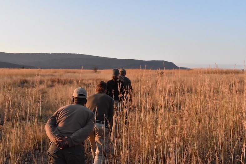 Anti-poaching patrols
