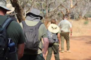 wildlife warriors anti-poaching program