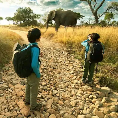 View our Family volunteer projects in Africa