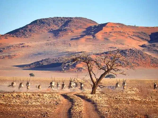 View our Volunteer Programs in Mozambique