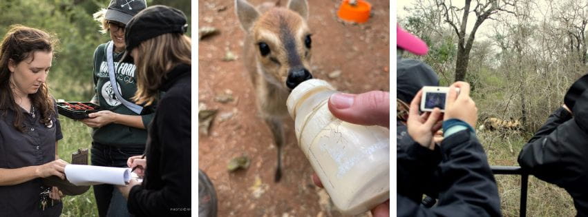 Volunteers doing activities