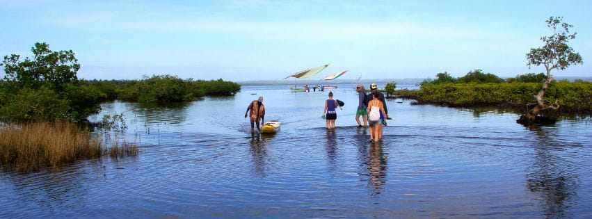 Volunteers in Mozambique estuary