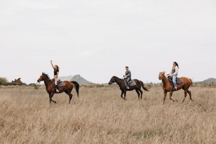 3 horse riders across african bush
