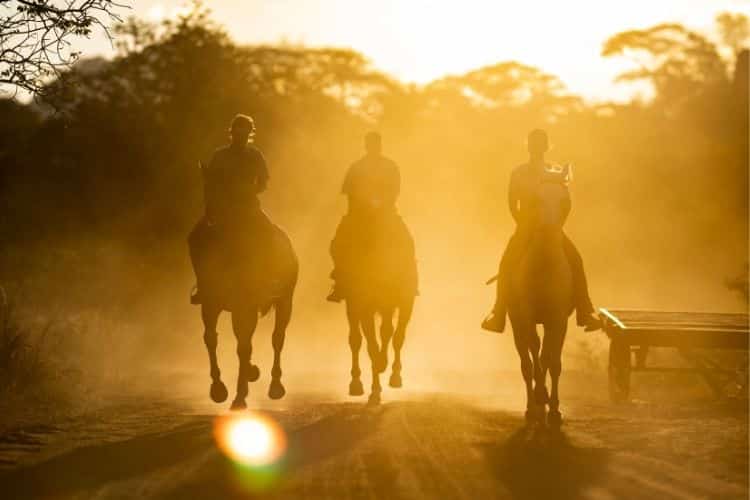 3 horse riders on sunset walk