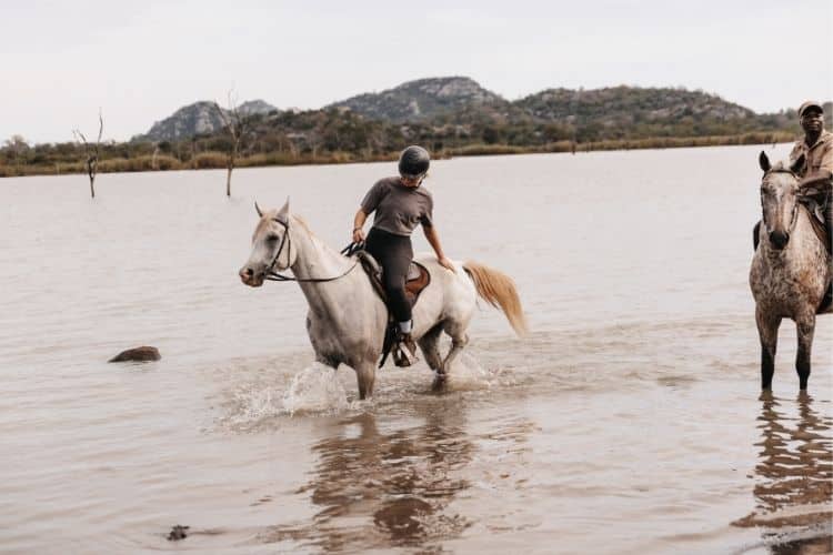 Horse and rider walking through water