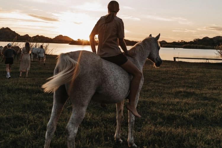 Horse rider by dam at sunset