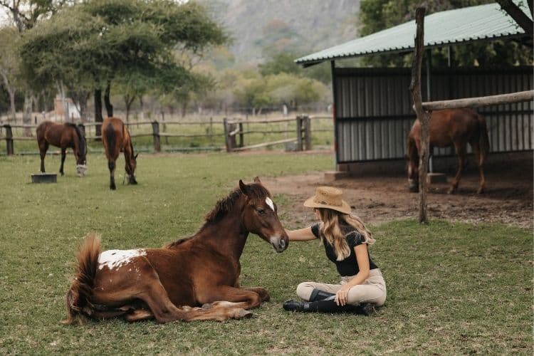 Horse riding holiday volunteer with horse sitting down