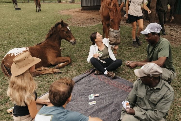 horses and volunteers relaxing