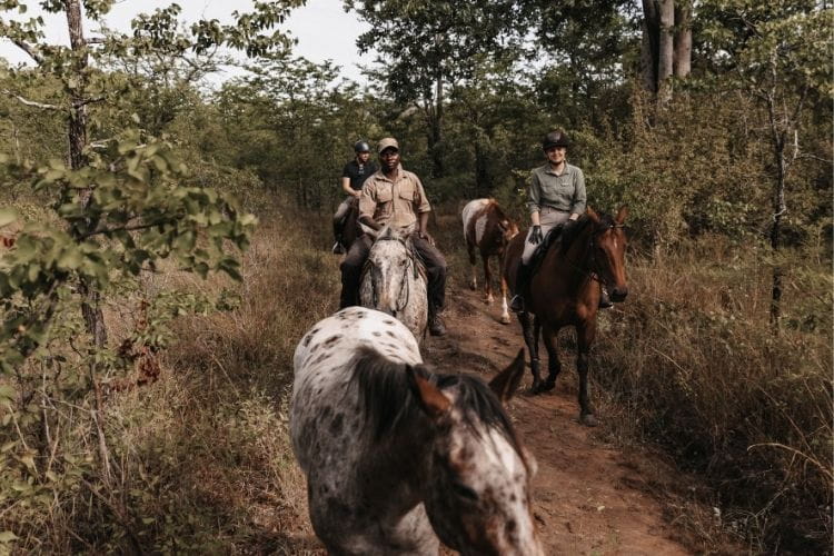 trail riding Zimbabwe