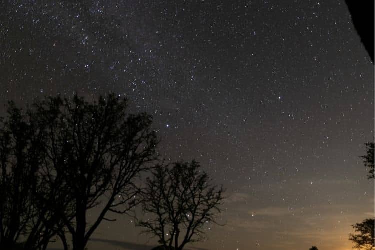 zimbabwe starry nights