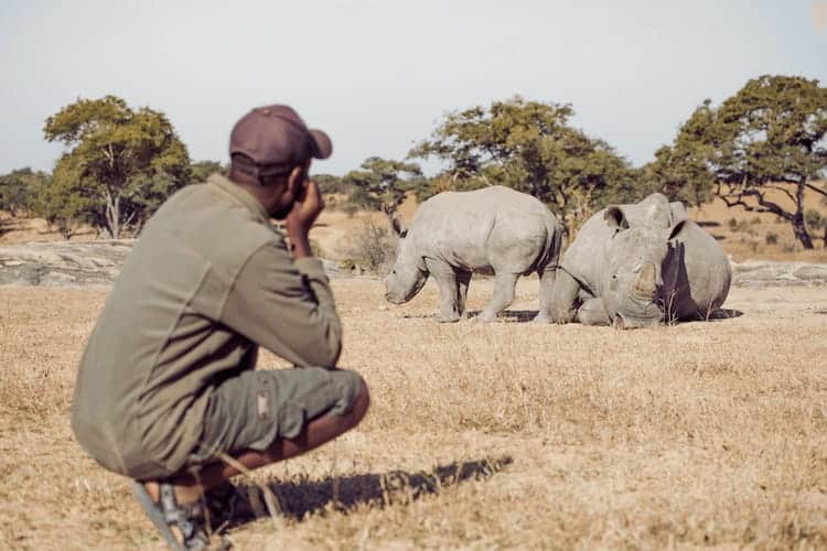 Conservation and community Zimbabwe