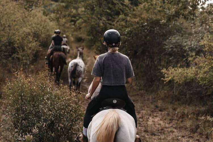 Family volunteering horse riding safari experience