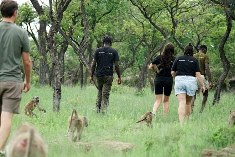 primate conservation program offer