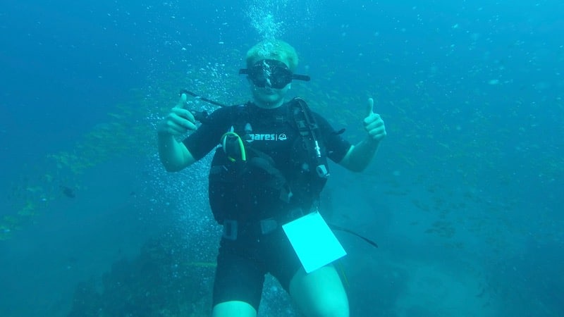 marine conservation volunteer underwater